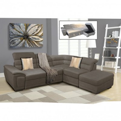 David Sectional with Pull-out Sofa Bed